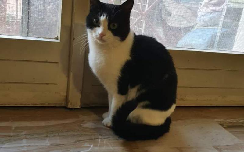 Matilda