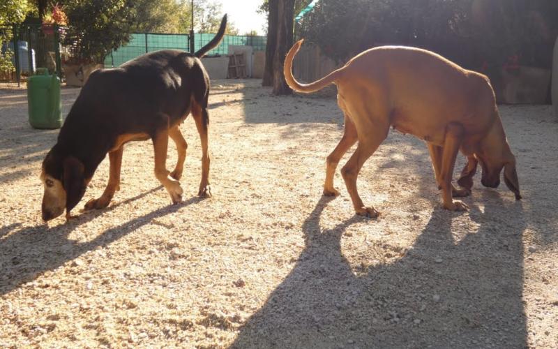 Nina e Rosa